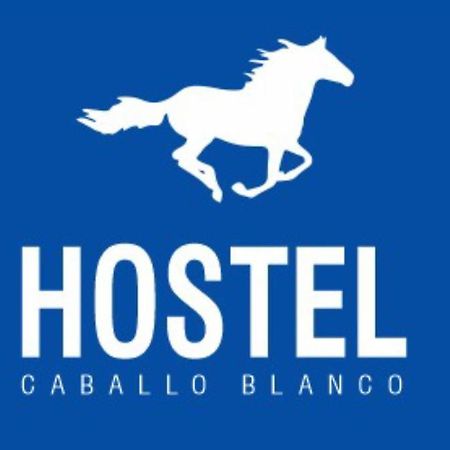 Cartagena Hostel Caballo Blanco المظهر الخارجي الصورة