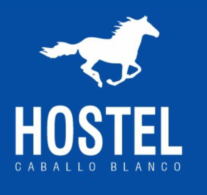 Cartagena Hostel Caballo Blanco المظهر الخارجي الصورة