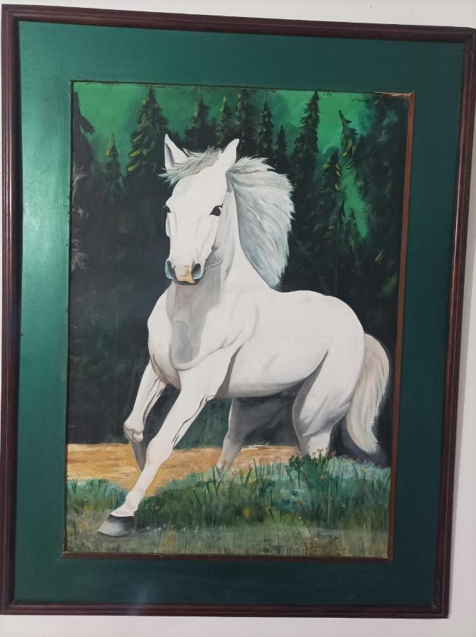 Cartagena Hostel Caballo Blanco المظهر الخارجي الصورة